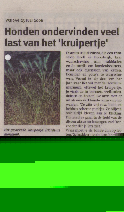 krantenartikel2