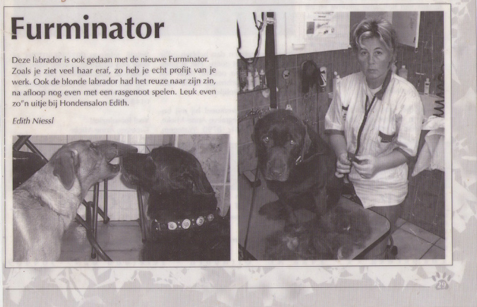 krantenartikel6