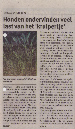 krantenartikel2