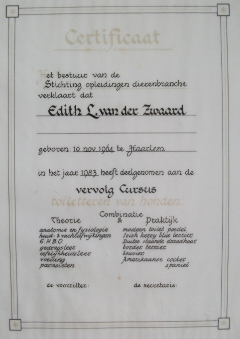 diploma2