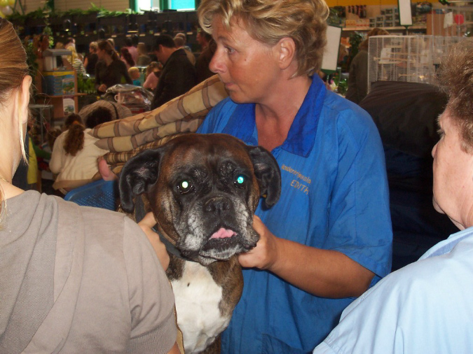 dierenwinkel4