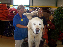dierenwinkel2