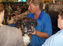 dierenwinkel4