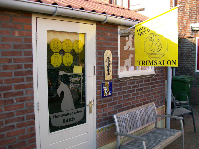 salon1